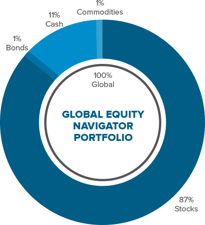 Global equity navigator portfolio